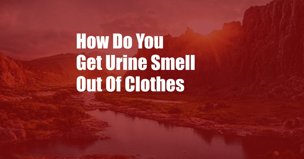 How Do You Get Urine Smell Out Of Clothes