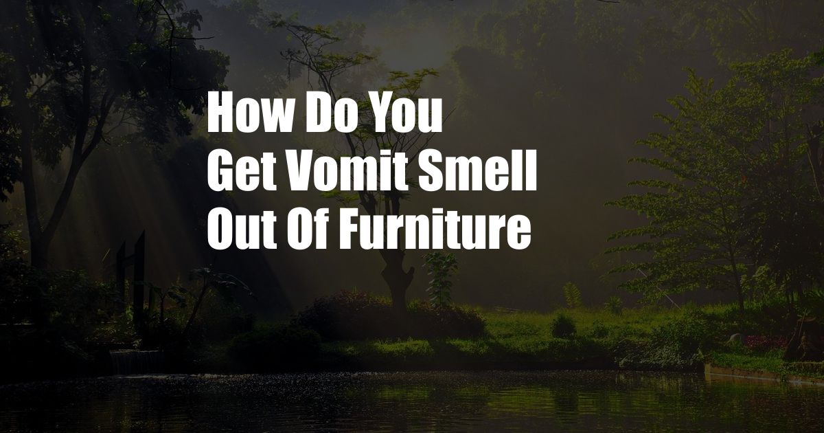 How Do You Get Vomit Smell Out Of Furniture
