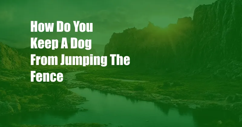 How Do You Keep A Dog From Jumping The Fence