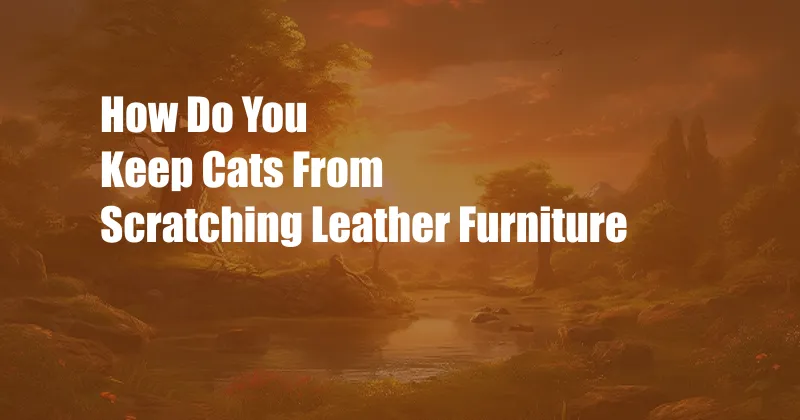 How Do You Keep Cats From Scratching Leather Furniture