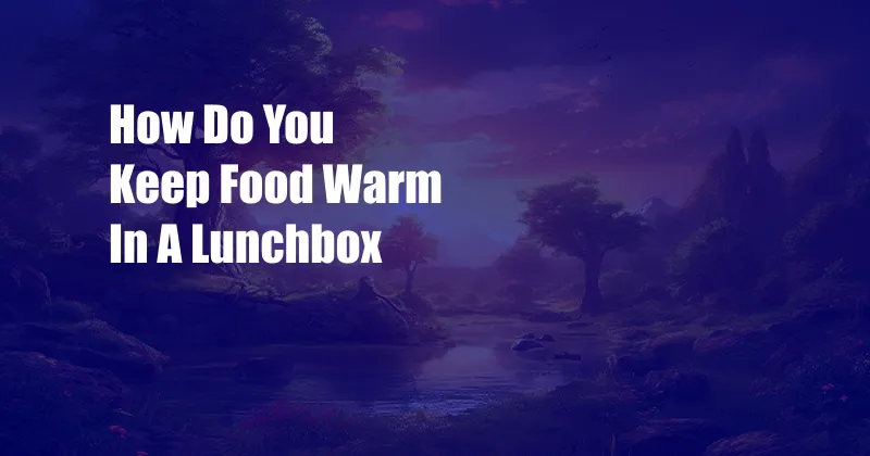 How Do You Keep Food Warm In A Lunchbox