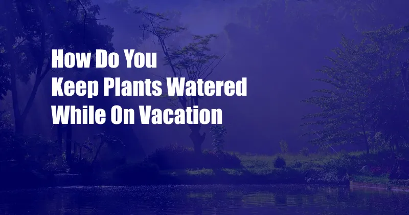 How Do You Keep Plants Watered While On Vacation