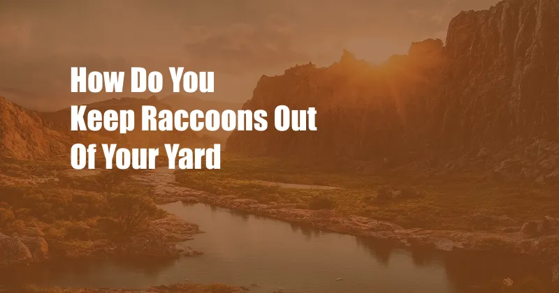 How Do You Keep Raccoons Out Of Your Yard