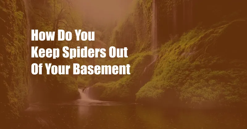 How Do You Keep Spiders Out Of Your Basement