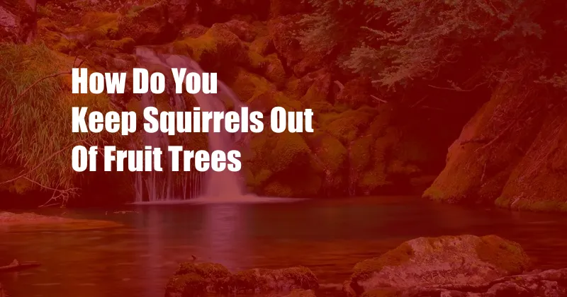 How Do You Keep Squirrels Out Of Fruit Trees