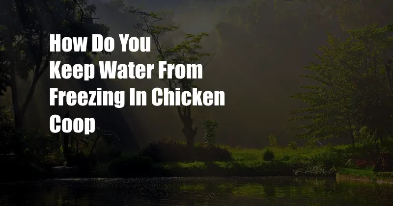 How Do You Keep Water From Freezing In Chicken Coop