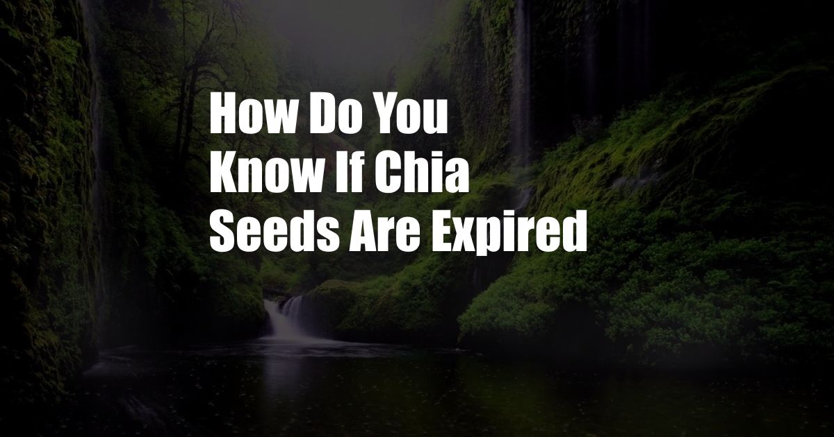 How Do You Know If Chia Seeds Are Expired