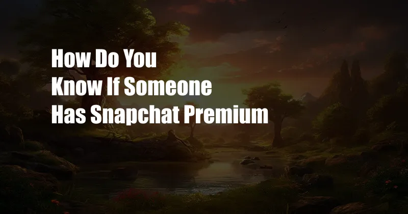 How Do You Know If Someone Has Snapchat Premium