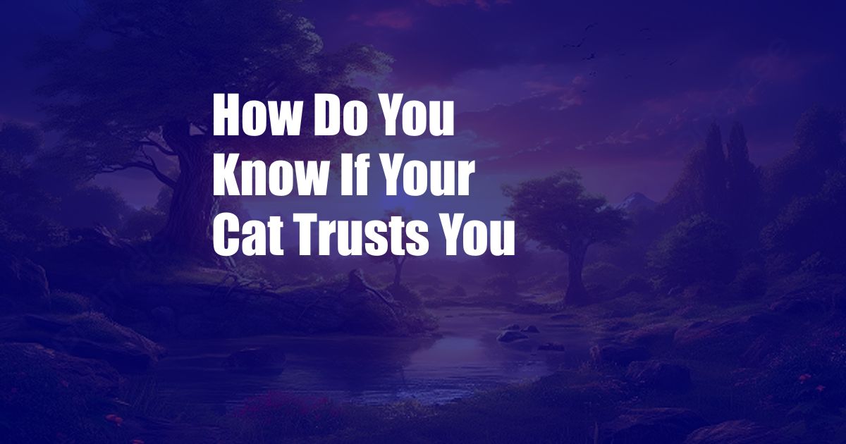 How Do You Know If Your Cat Trusts You