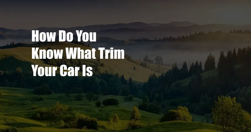 How Do You Know What Trim Your Car Is