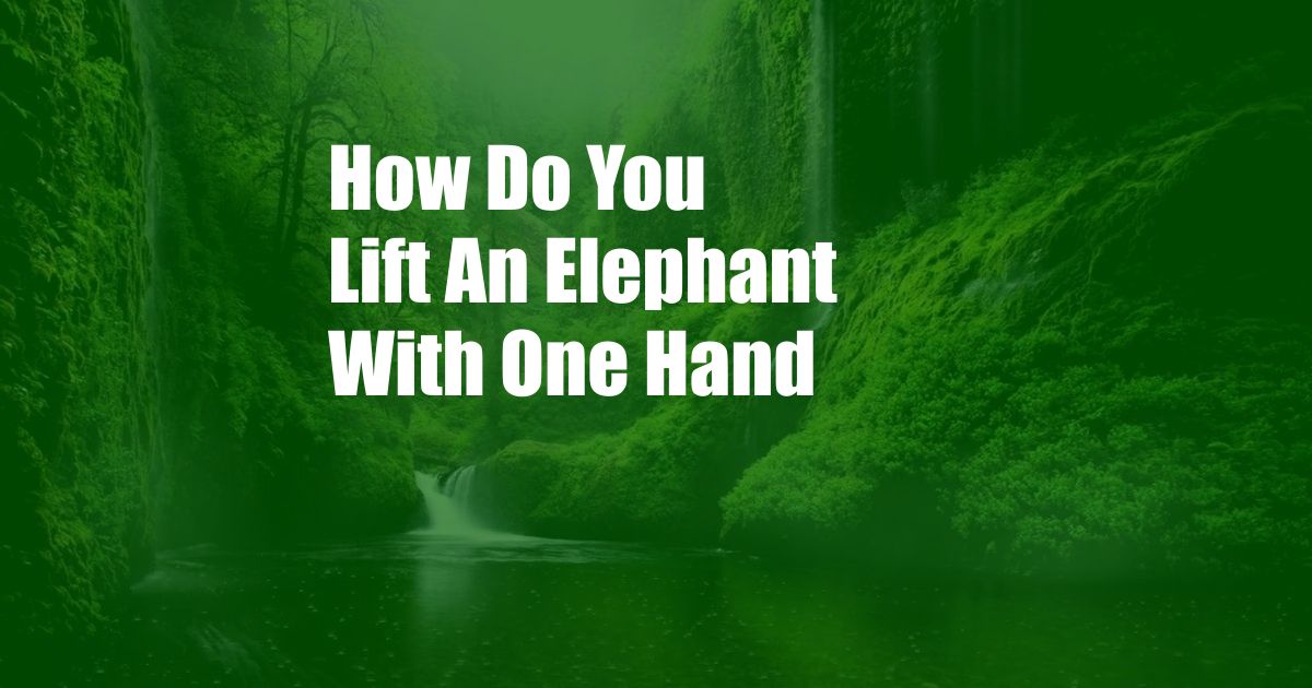 How Do You Lift An Elephant With One Hand