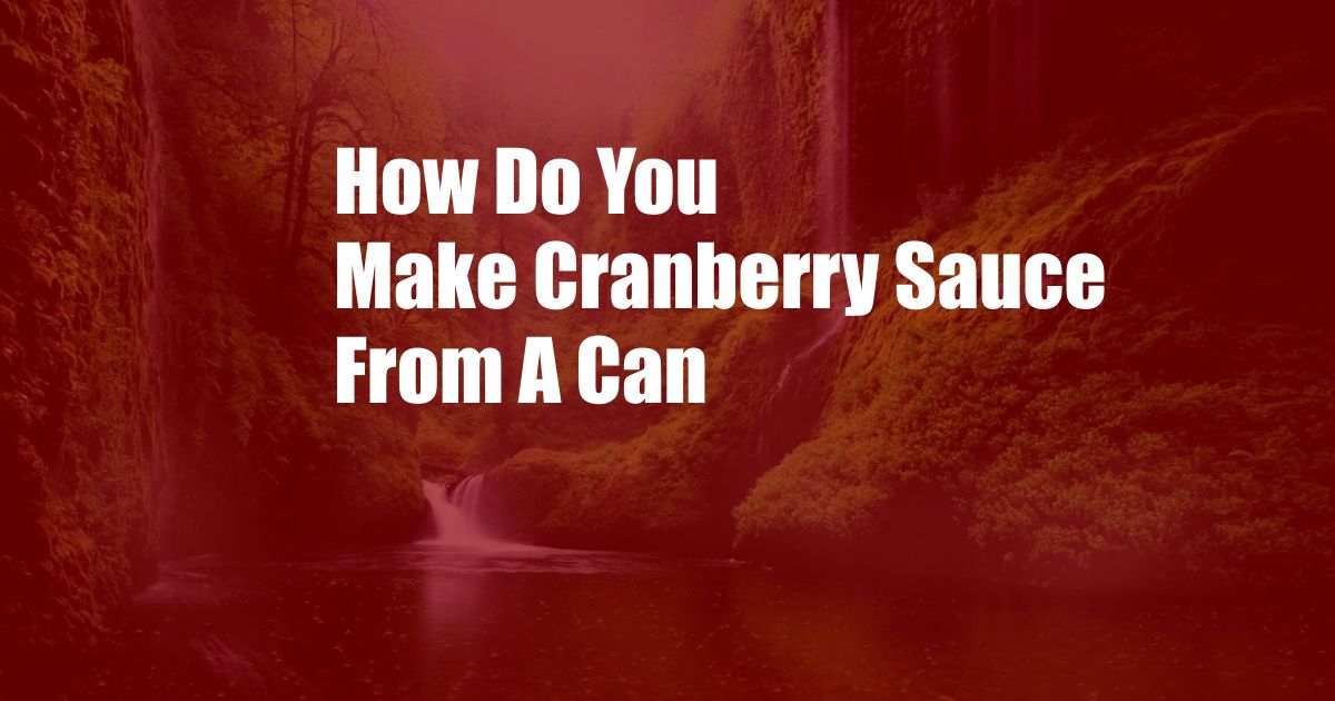 How Do You Make Cranberry Sauce From A Can