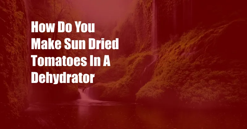 How Do You Make Sun Dried Tomatoes In A Dehydrator