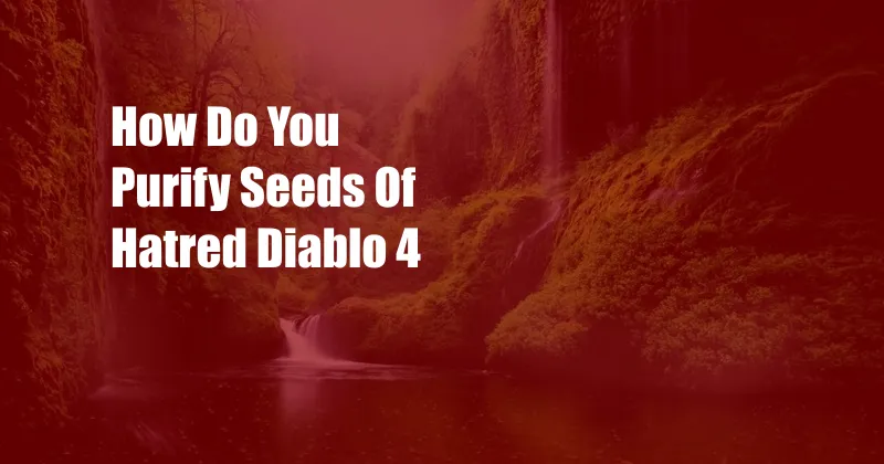 How Do You Purify Seeds Of Hatred Diablo 4