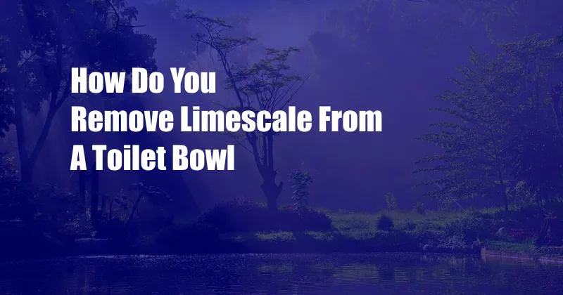 How Do You Remove Limescale From A Toilet Bowl