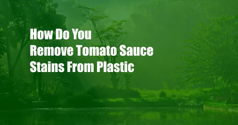 How Do You Remove Tomato Sauce Stains From Plastic