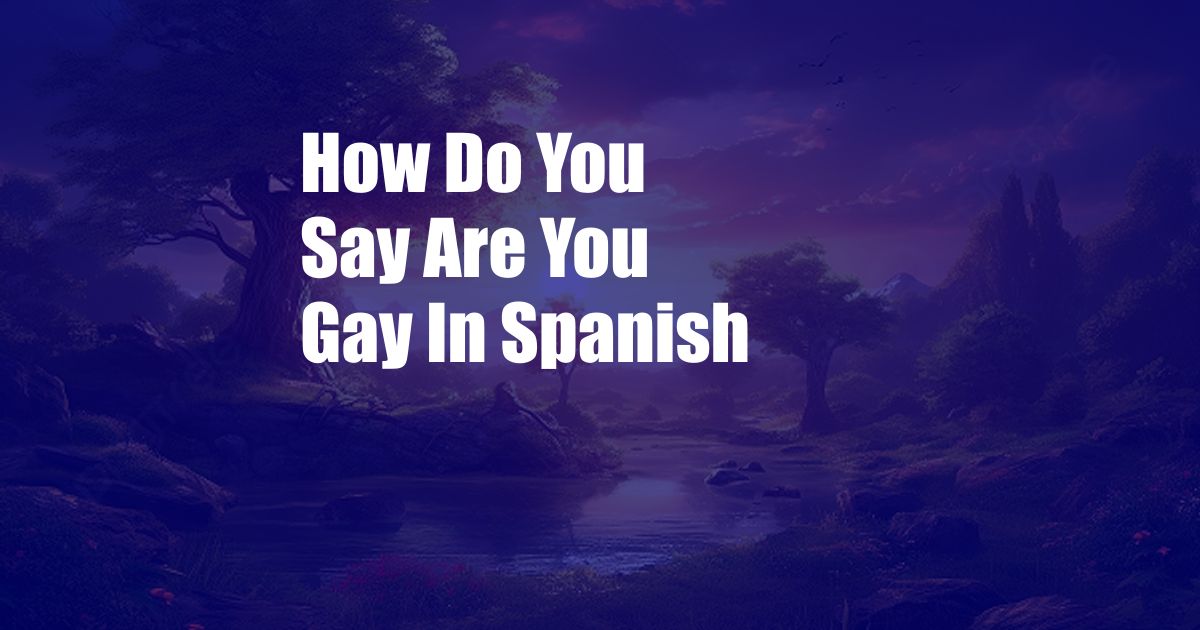 How Do You Say Are You Gay In Spanish