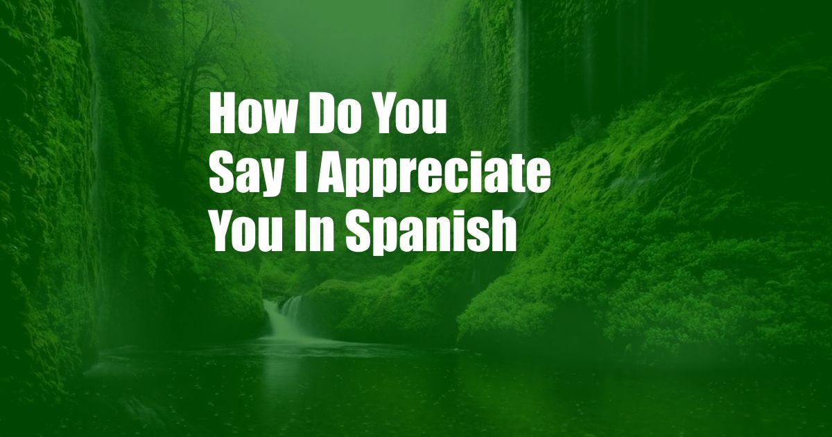 How Do You Say I Appreciate You In Spanish