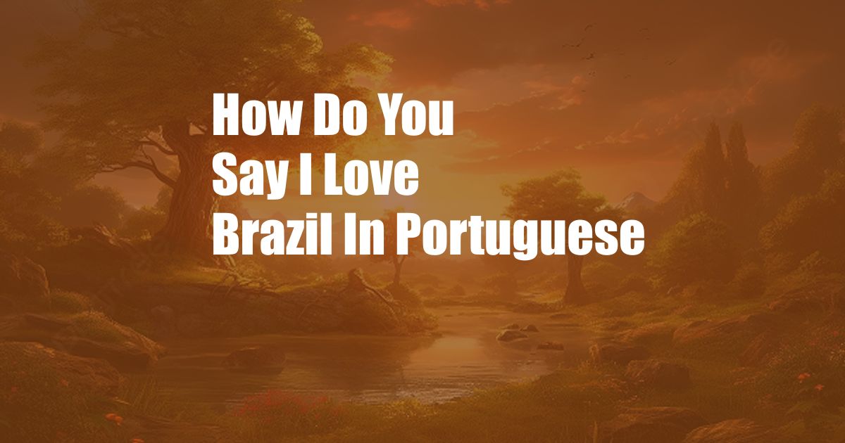 How Do You Say I Love Brazil In Portuguese