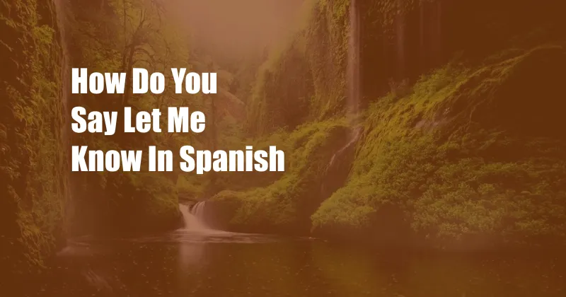 How Do You Say Let Me Know In Spanish