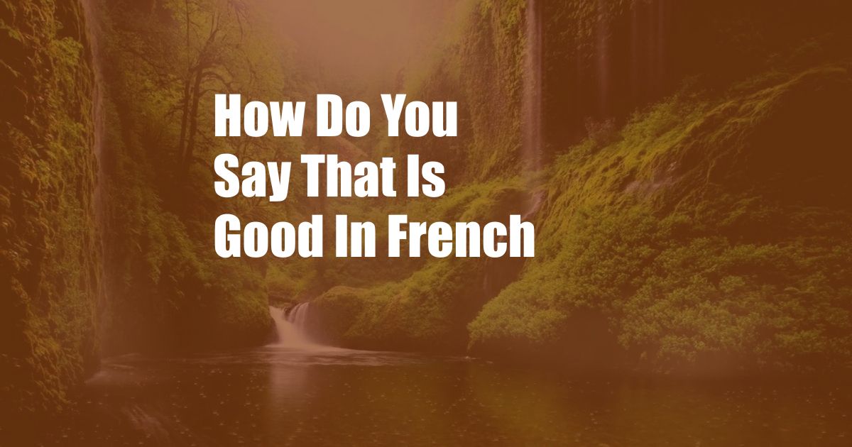 How Do You Say That Is Good In French