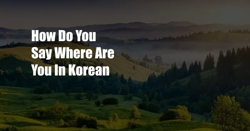 How Do You Say Where Are You In Korean