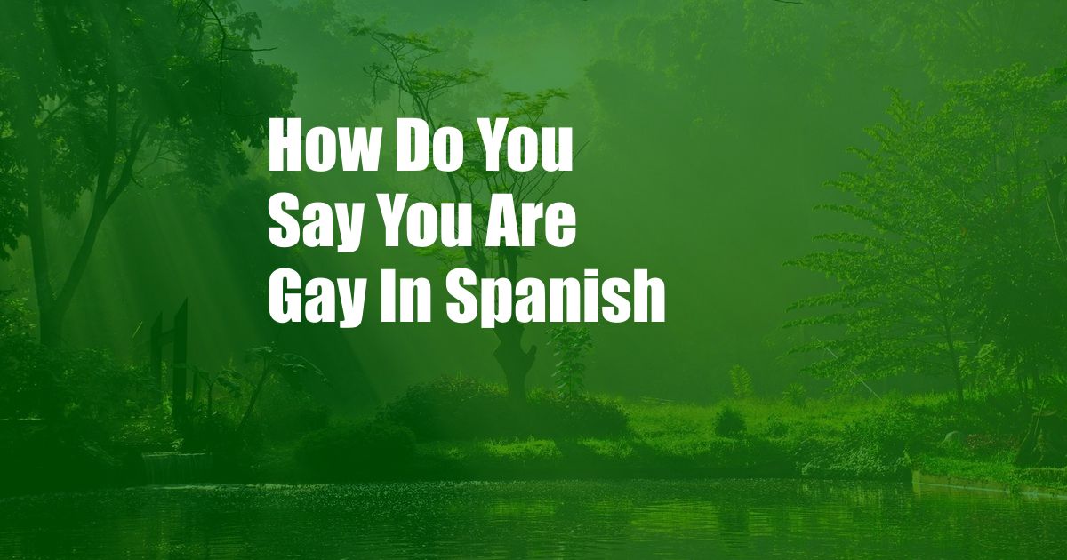 How Do You Say You Are Gay In Spanish