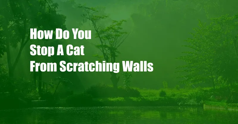 How Do You Stop A Cat From Scratching Walls