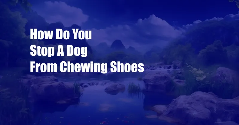 How Do You Stop A Dog From Chewing Shoes