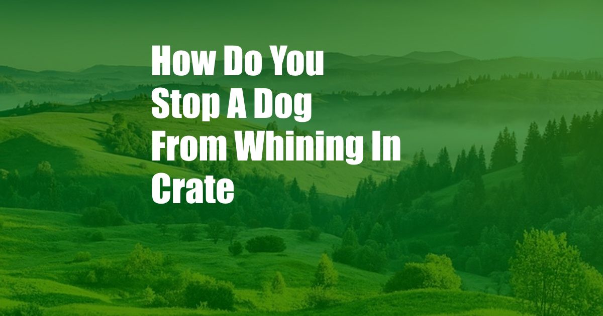 How Do You Stop A Dog From Whining In Crate
