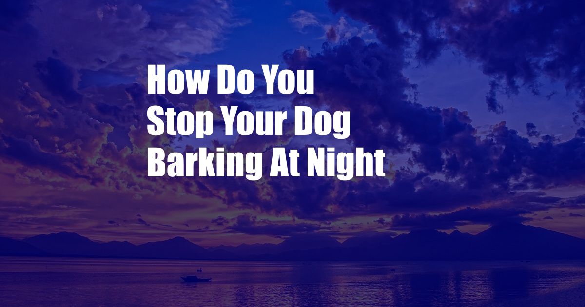 How Do You Stop Your Dog Barking At Night