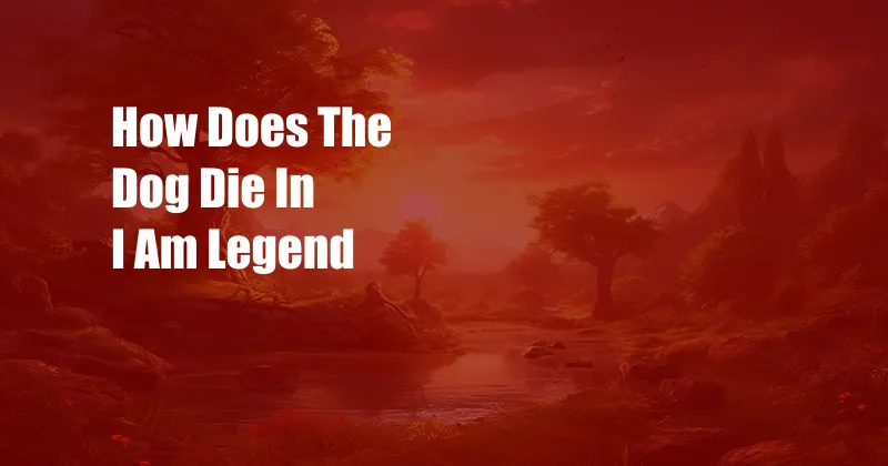 How Does The Dog Die In I Am Legend