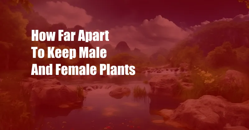How Far Apart To Keep Male And Female Plants