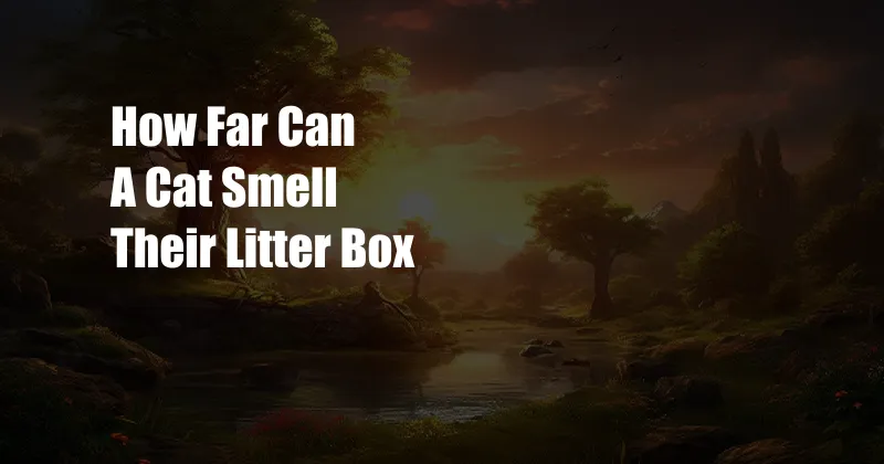 How Far Can A Cat Smell Their Litter Box