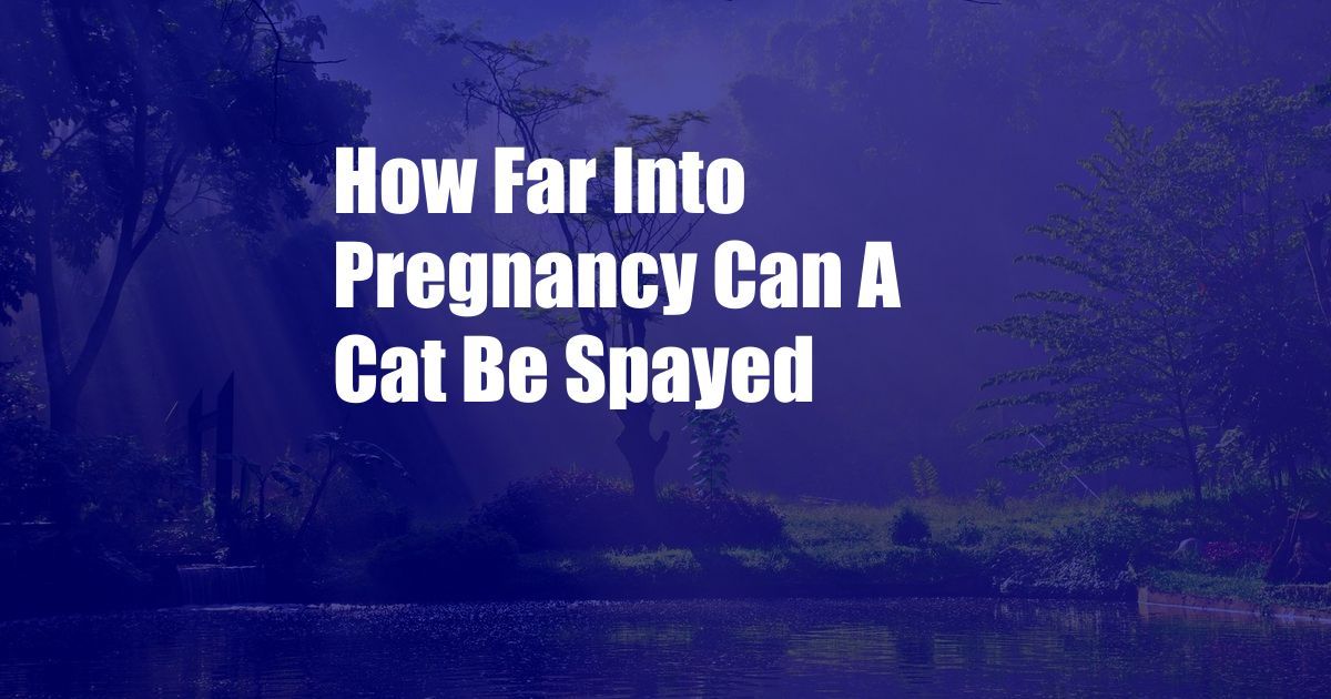 How Far Into Pregnancy Can A Cat Be Spayed