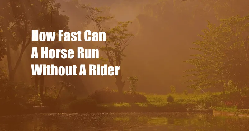 How Fast Can A Horse Run Without A Rider