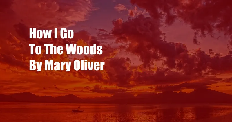 How I Go To The Woods By Mary Oliver