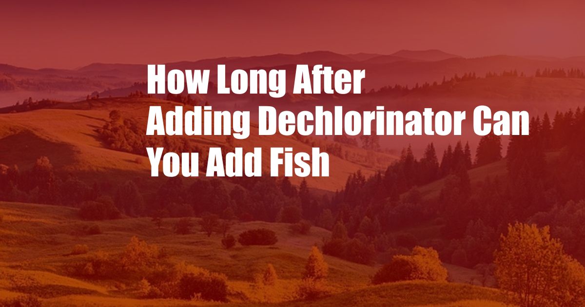 How Long After Adding Dechlorinator Can You Add Fish