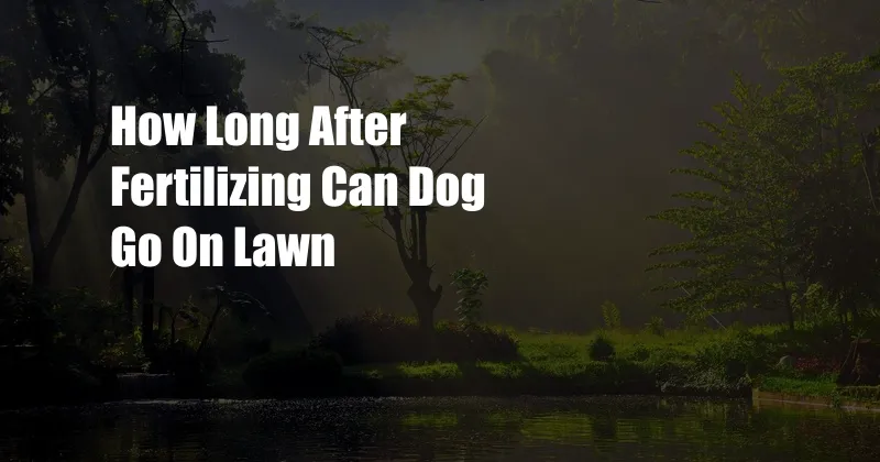 How Long After Fertilizing Can Dog Go On Lawn