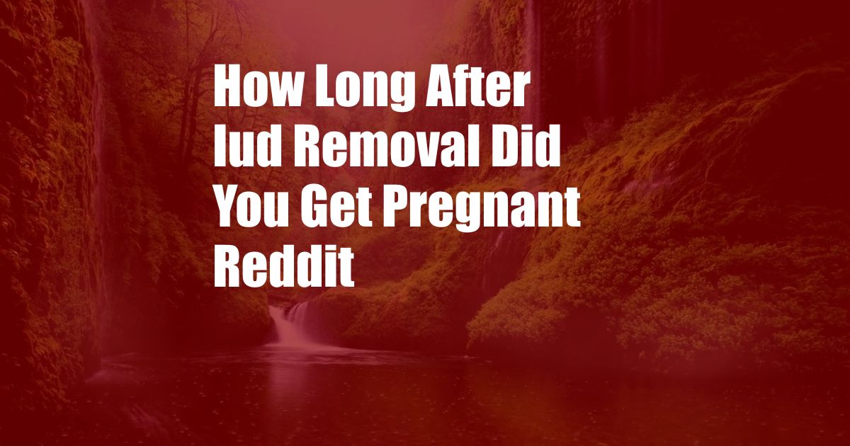 How Long After Iud Removal Did You Get Pregnant Reddit