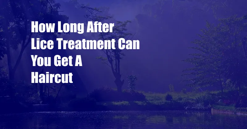 How Long After Lice Treatment Can You Get A Haircut