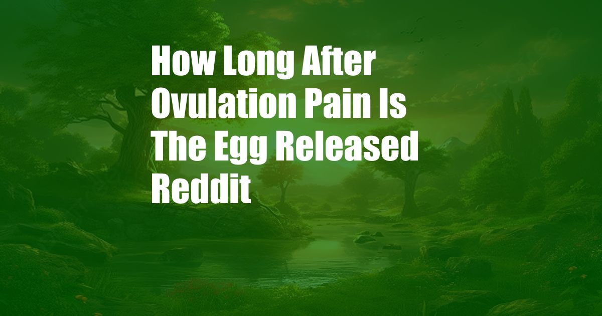 How Long After Ovulation Pain Is The Egg Released Reddit