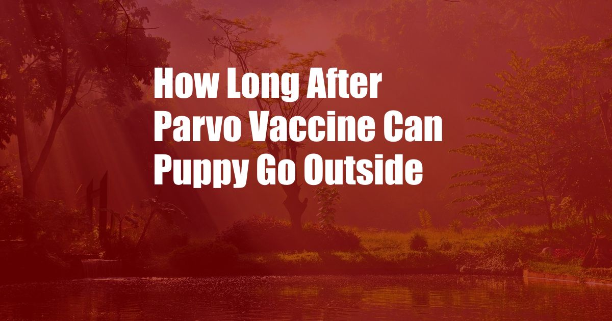 How Long After Parvo Vaccine Can Puppy Go Outside