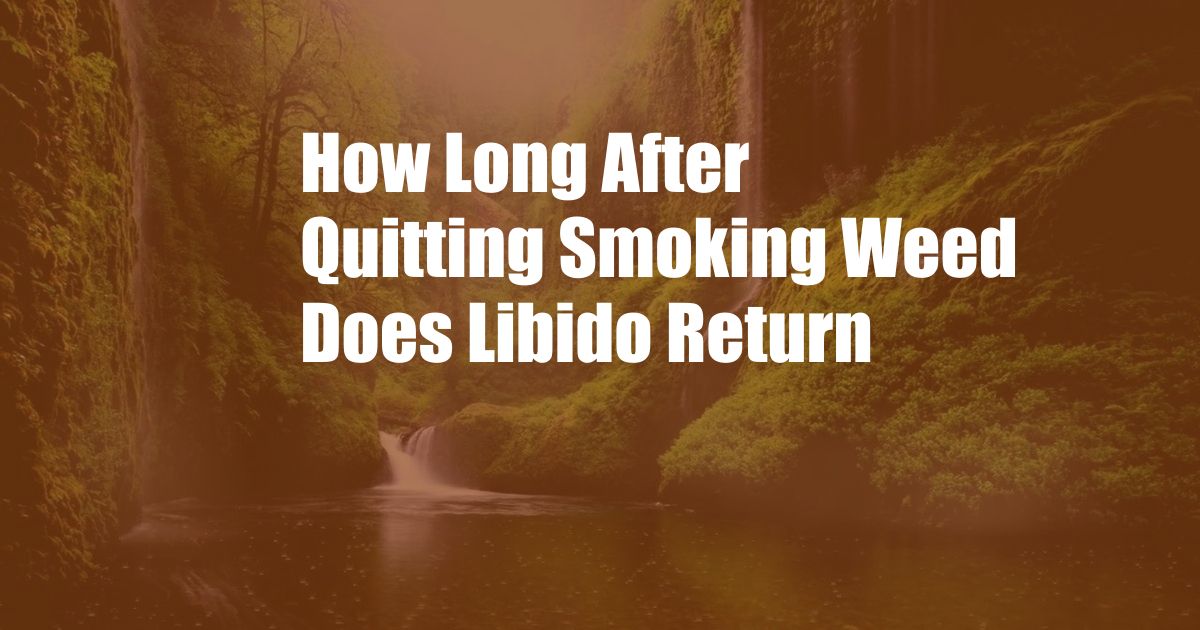 How Long After Quitting Smoking Weed Does Libido Return