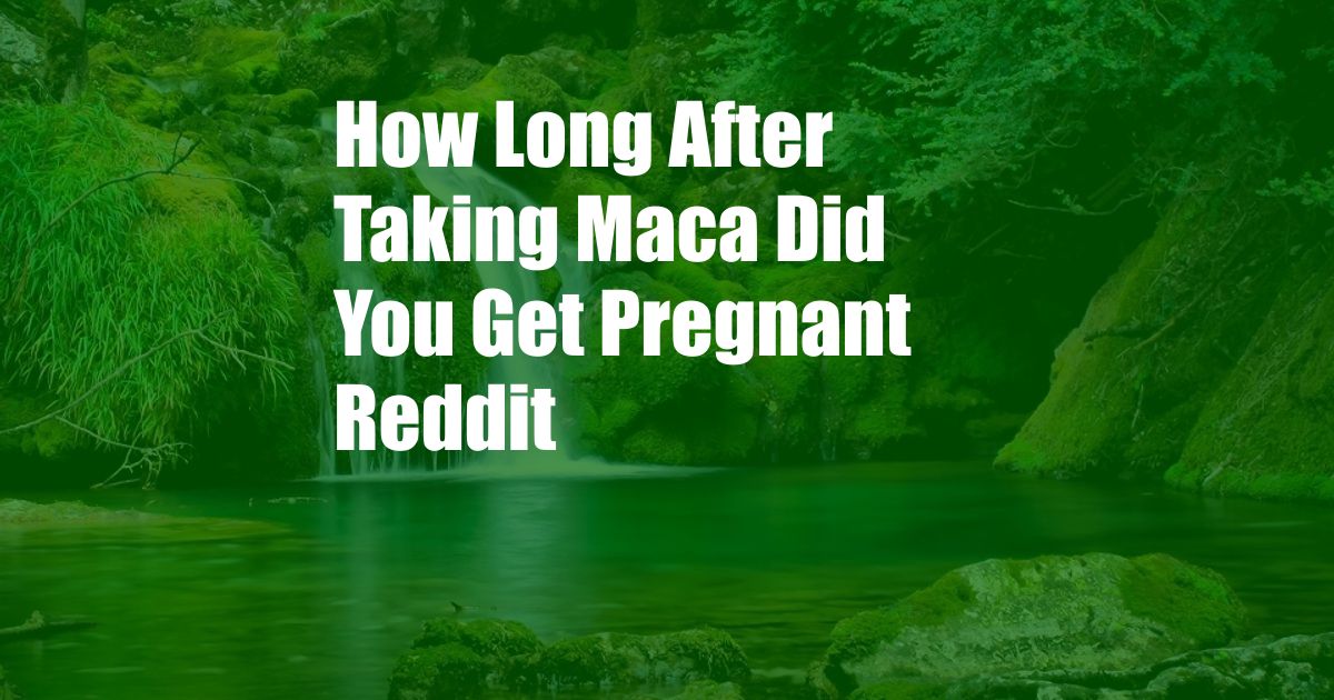 How Long After Taking Maca Did You Get Pregnant Reddit