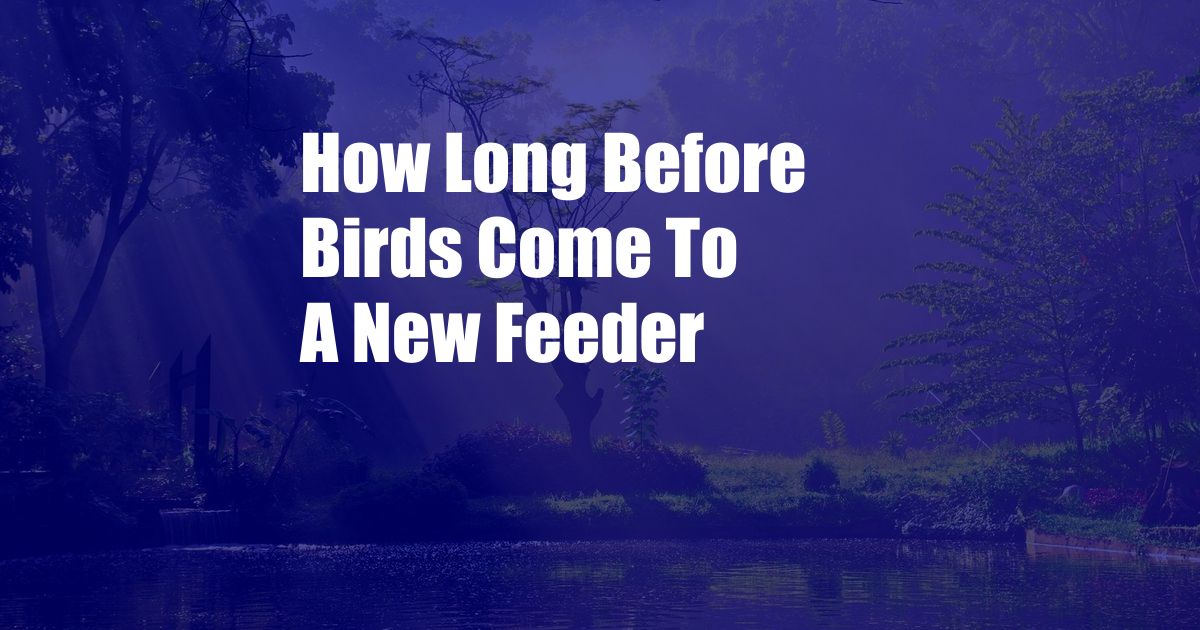 How Long Before Birds Come To A New Feeder