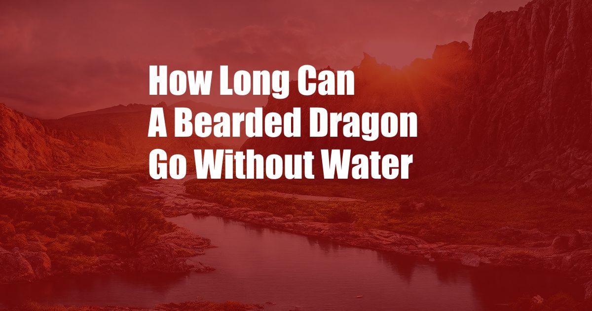 How Long Can A Bearded Dragon Go Without Water