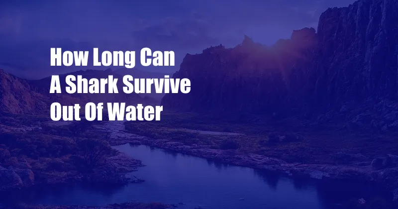 How Long Can A Shark Survive Out Of Water