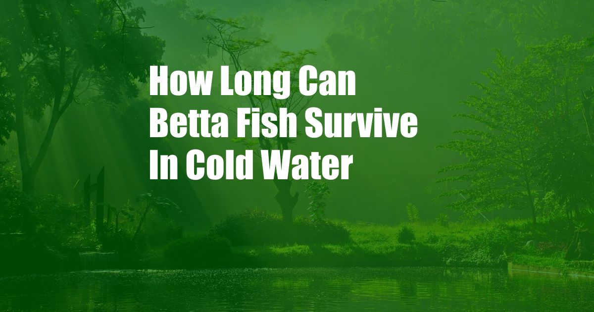 How Long Can Betta Fish Survive In Cold Water