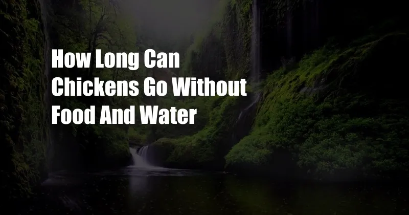 How Long Can Chickens Go Without Food And Water